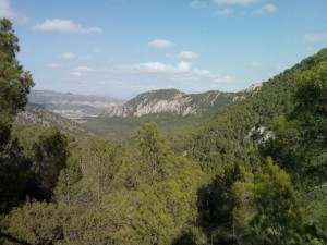 Monte Coto